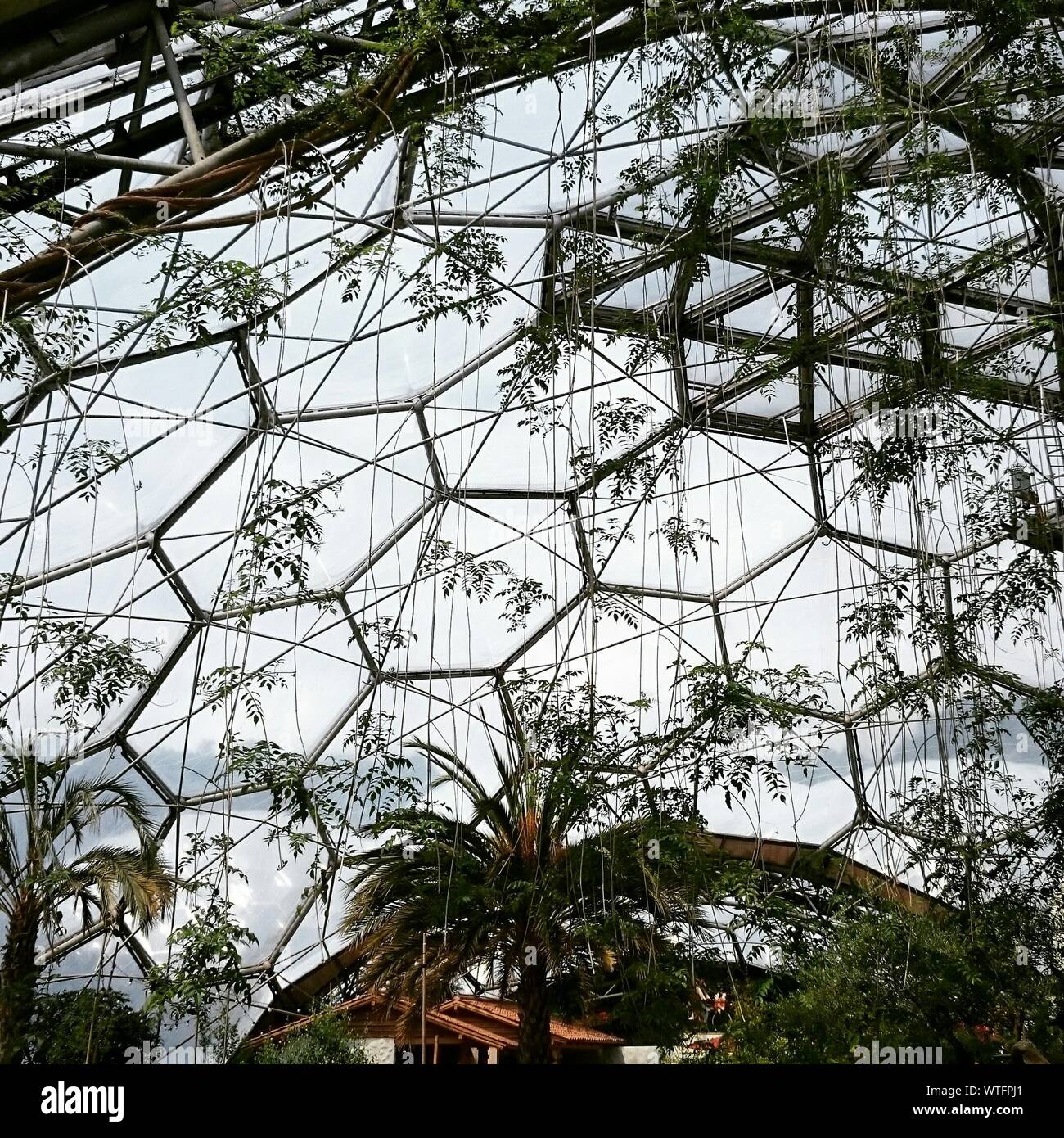 Low Angle View Of Glass Ceiling At Mediterranean Biome Indoor Garden Stock  Photo - Alamy