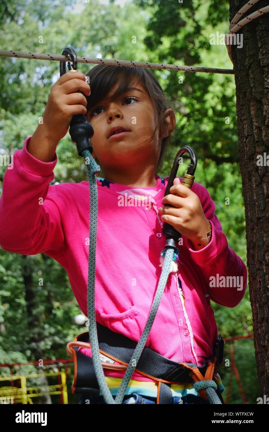 Girl Adjusting Safety Harness On Rope Stock Photo