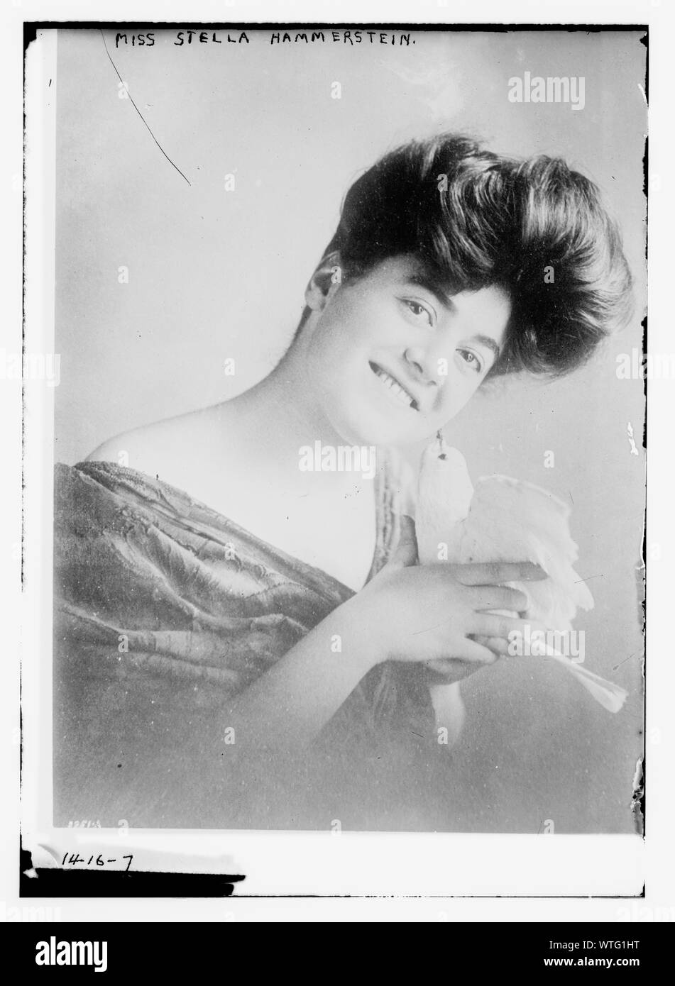 Miss Stella Hammerstein Stock Photo Alamy