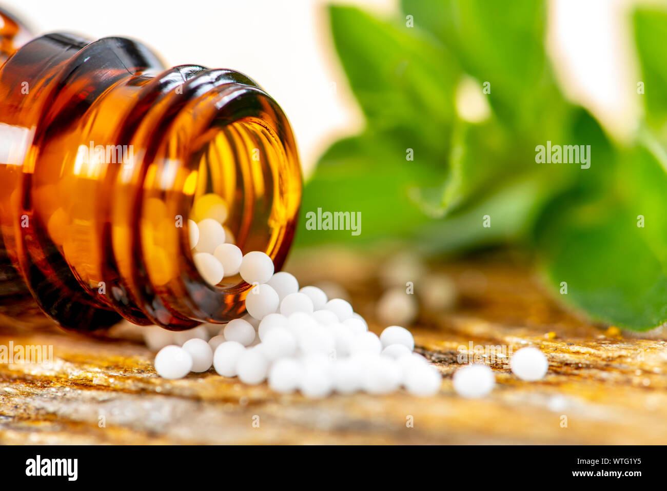 alternative medicine with homeopathy and herbal pills Stock Photo