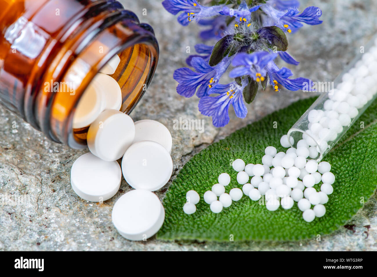 alternative medicine with homeopathy and herbal pills Stock Photo