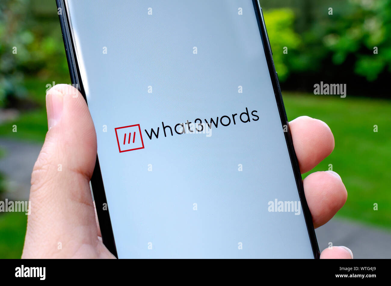 What3words logo seen on a startup screen of the app, on smartphone which hold in a hand. What 3 words is an innovative navigation system. Stock Photo