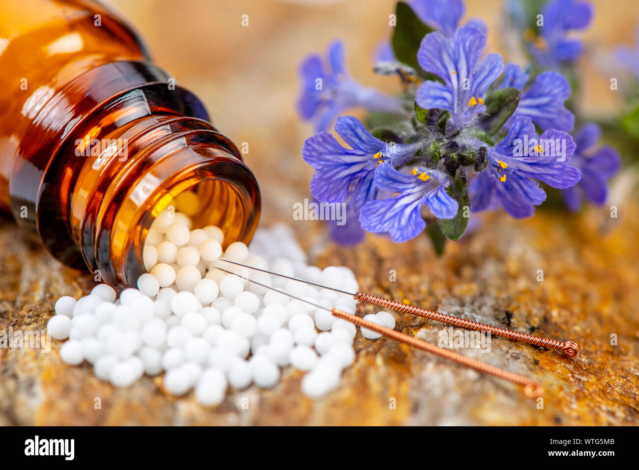 alternative medicine with homeopathy and herbal pills Stock Photo