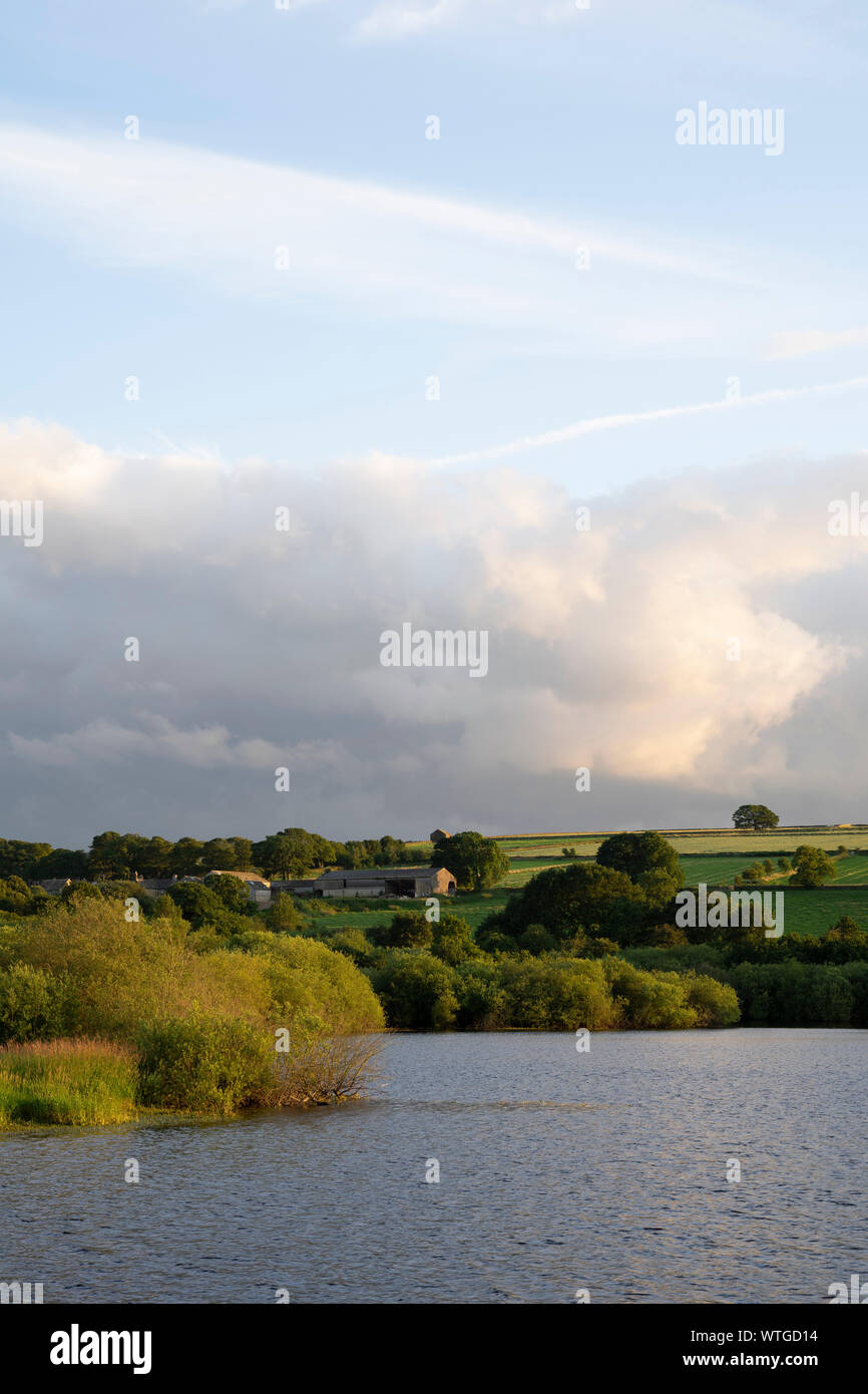 Royd Moor Reservoir, nr Penistone, Yorkshire, UK Stock Photo