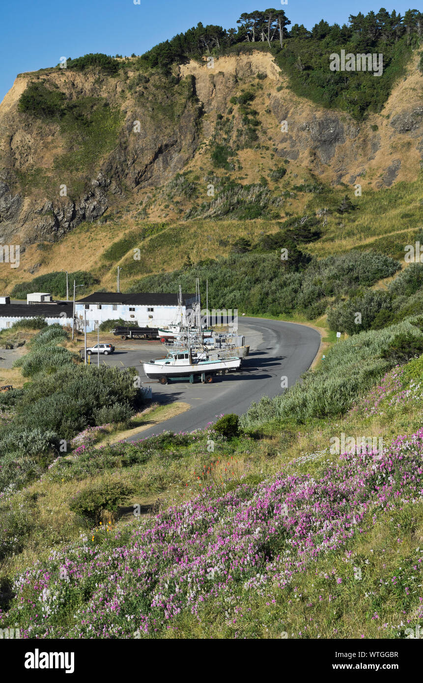Wildflowers bloom above the small harbor at Port Orford, Oregon