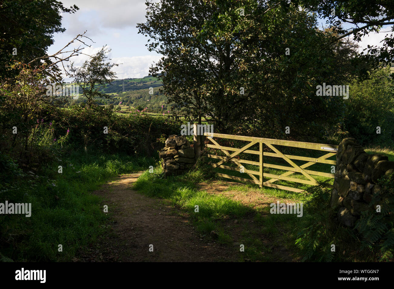 Rural Countryside Pathway - Yorkshire, UK Stock Photo