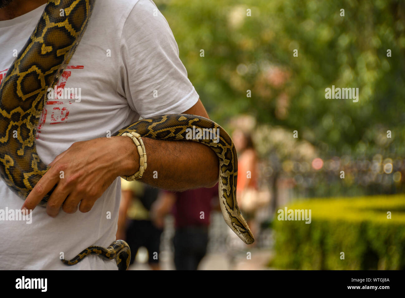 PRAGUE, CZECH REPUBLIC - AUGUST 2018: Python snake coiled around a man in a tourist areas in the centre of Prague. Stock Photo