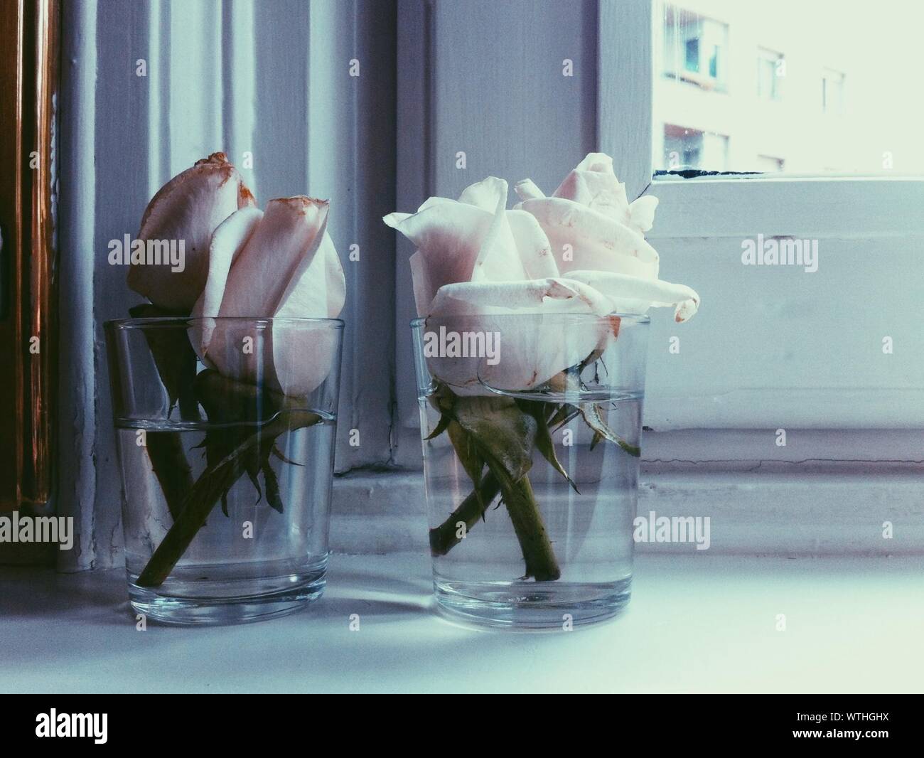 Water in vases hires stock photography and images Alamy