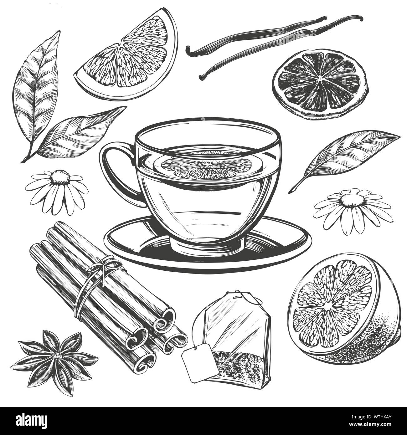 tea set isolated on white background hand drawn vector illustration realistic sketch Stock