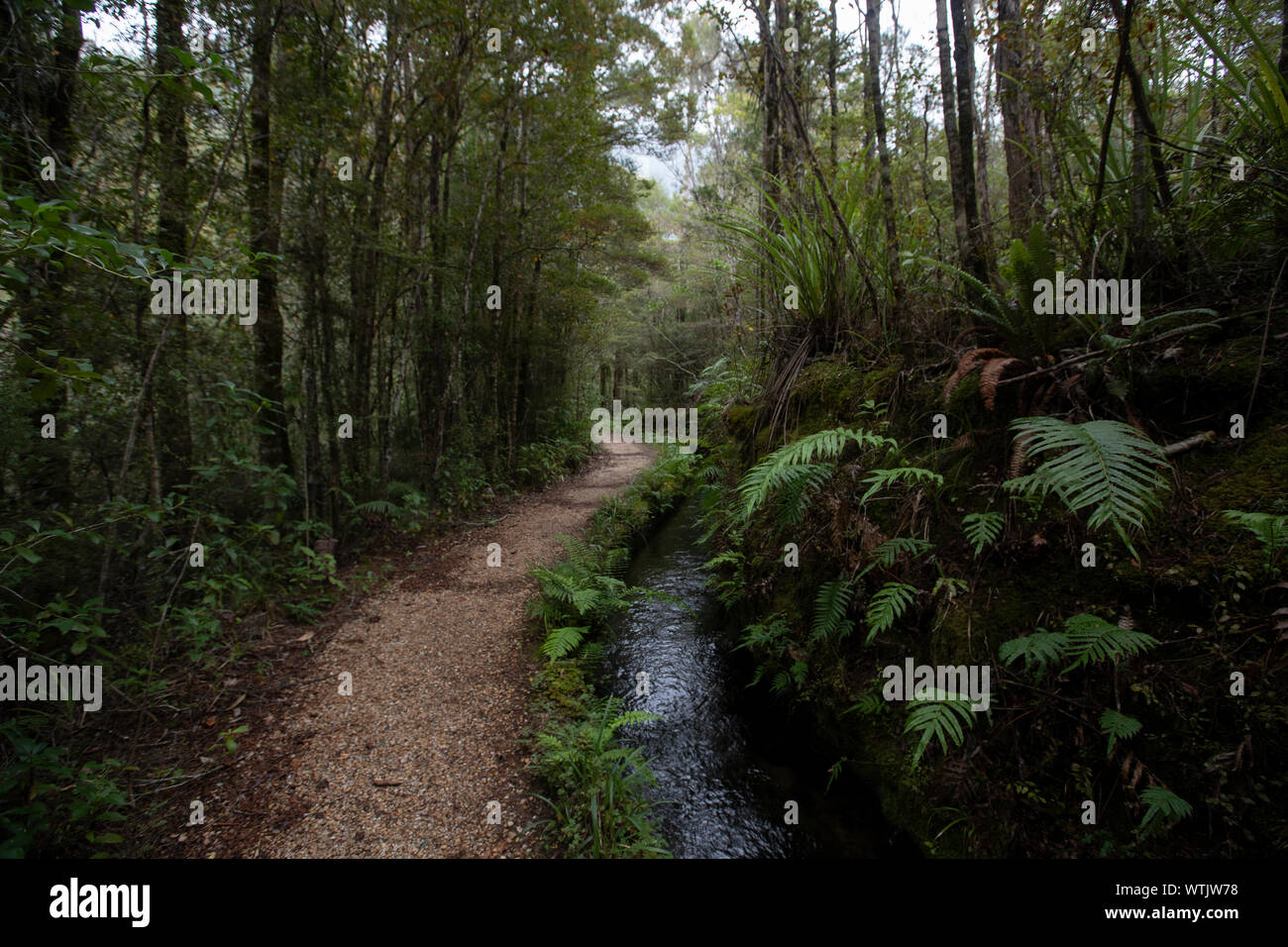 Picture by Tim Cuff - 8 May 2019 - Pupu Hydro power generator scheme, Golden Bay, New Zealand: Four Corners Stock Photo