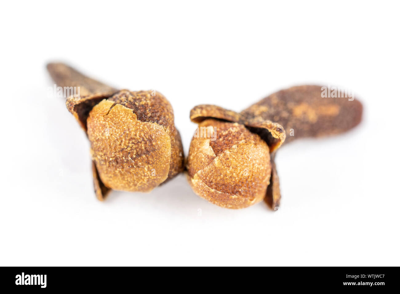 Group of two whole dry brown clove isolated on white background Stock ...