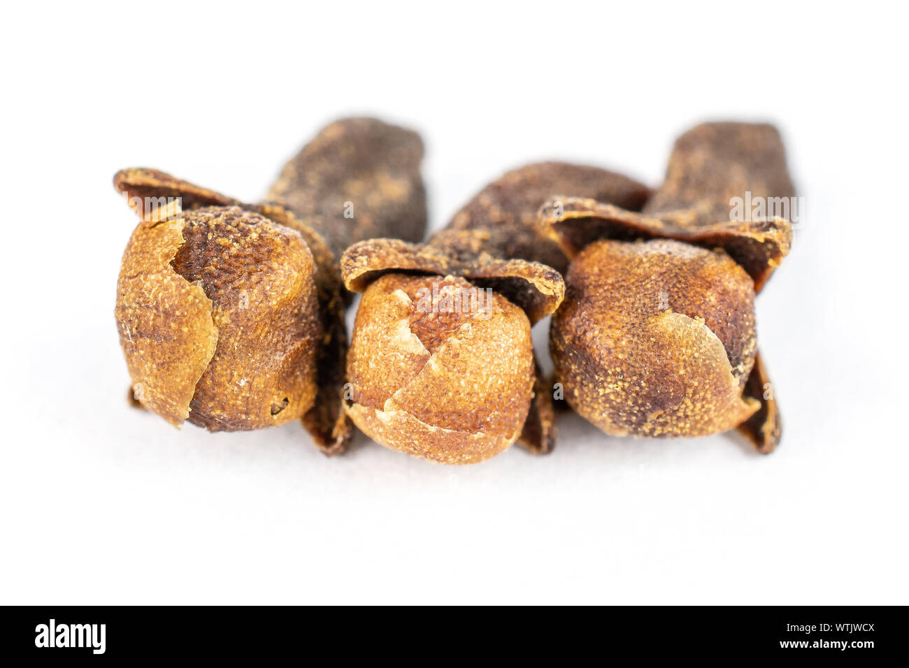 Group Of Three Whole Dry Brown Clove Isolated On White Background Stock 