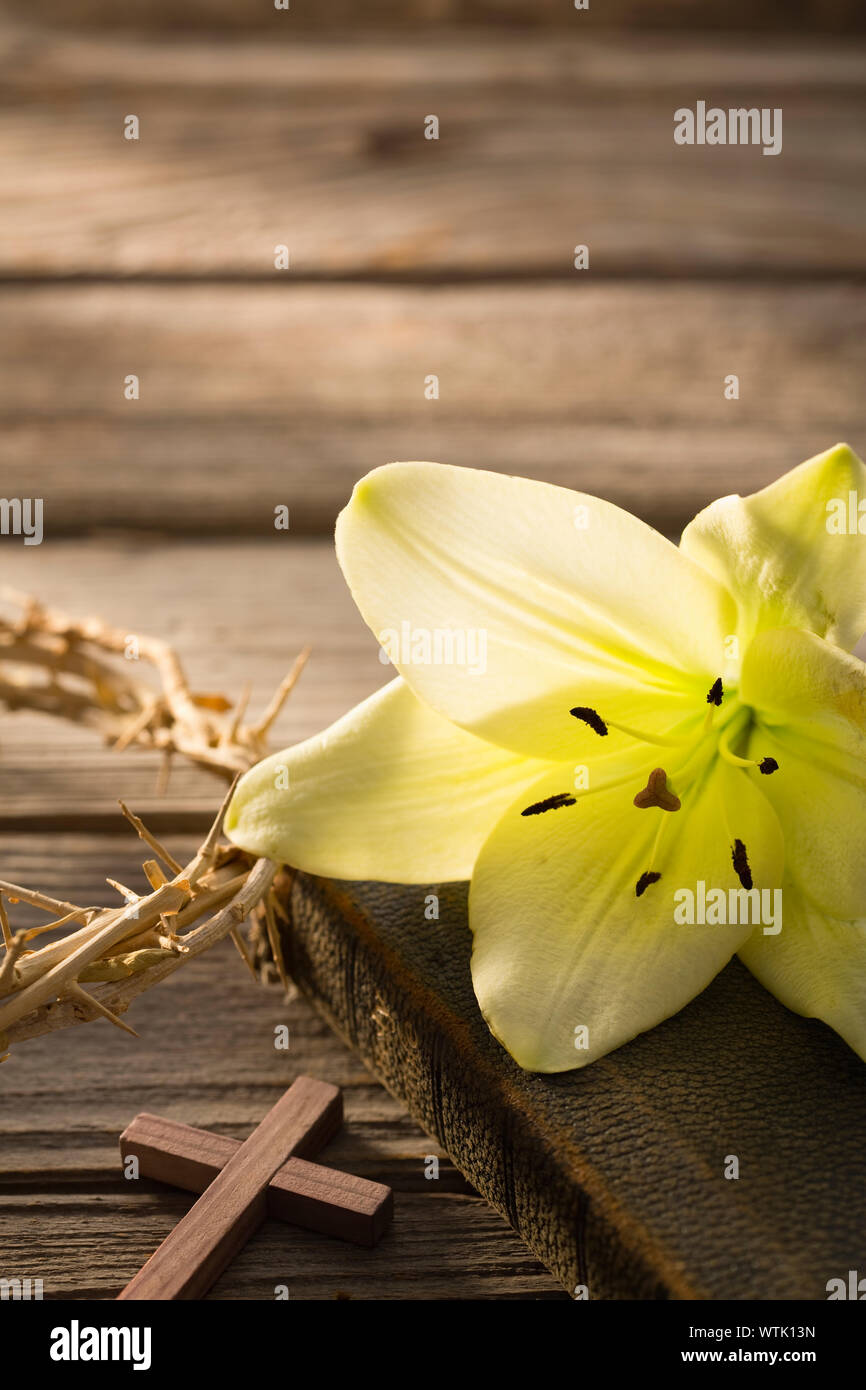 Studio shot of yellow easter lily on bible Stock Photo