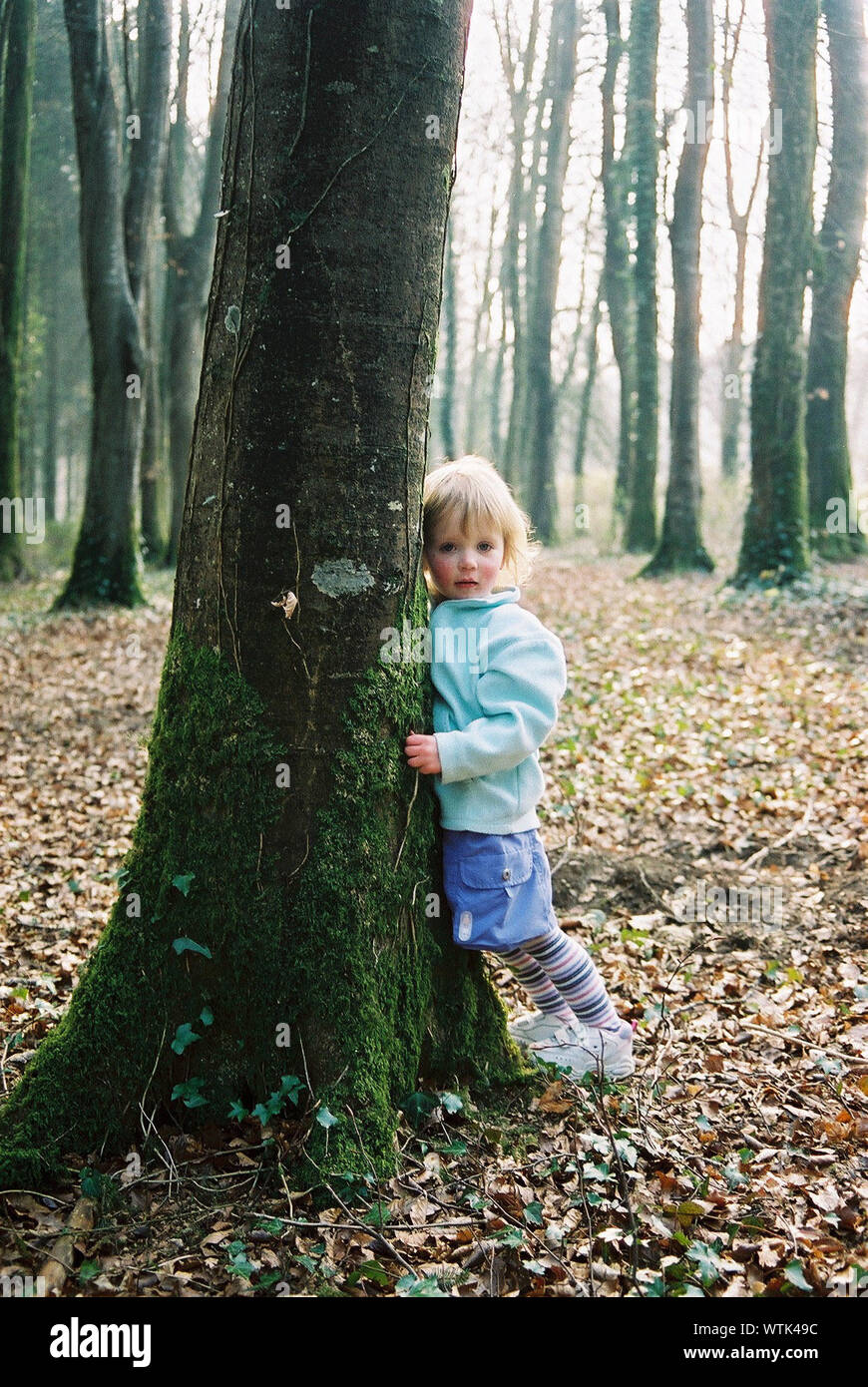 Toddler with tree hires stock photography and images Alamy