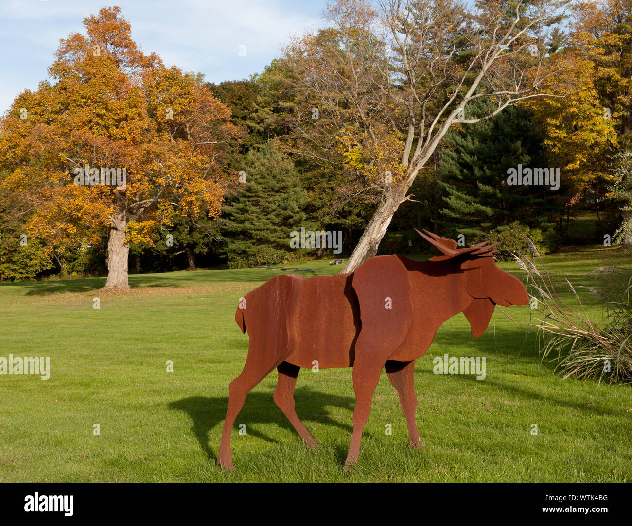 Moose sculpture, Lakeville, Connecticut Stock Photo Alamy