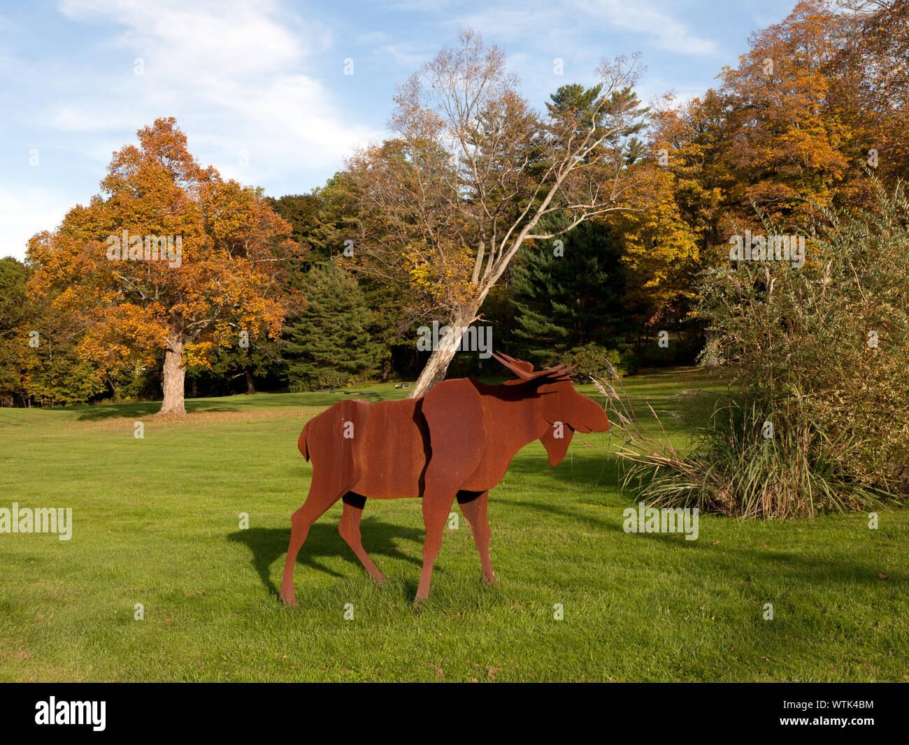 Moose sculpture, Lakeville, Connecticut Stock Photo - Alamy