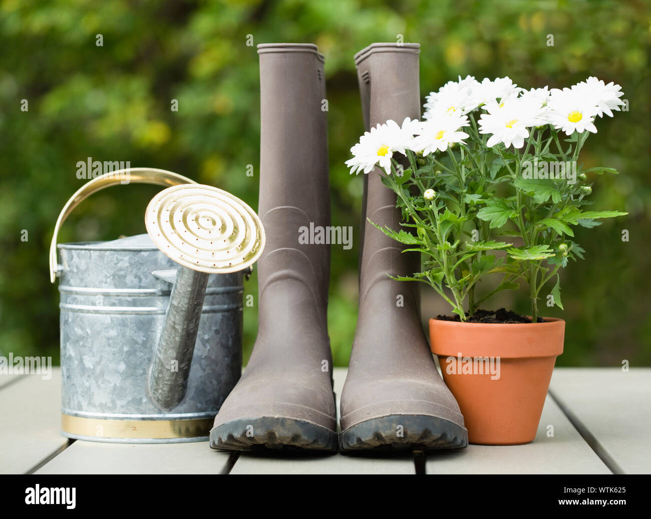 Potted flowers, rubber boots and watering can outdoors Stock Photo