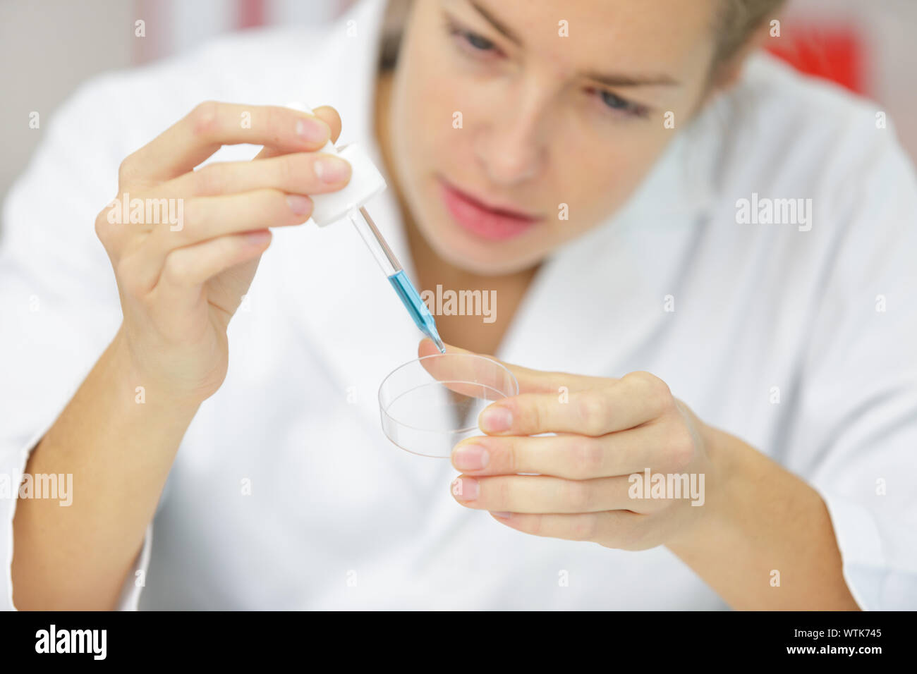 using a pipette for pcr processing in microbiological laboratory Stock Photo