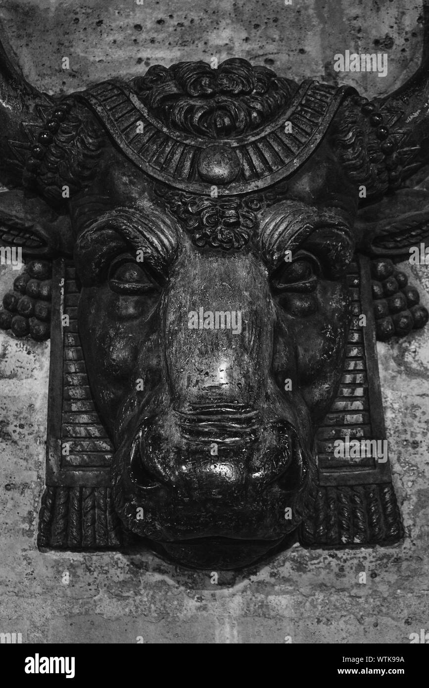 Bull Head Sculpture On Wall Stock Photo Alamy