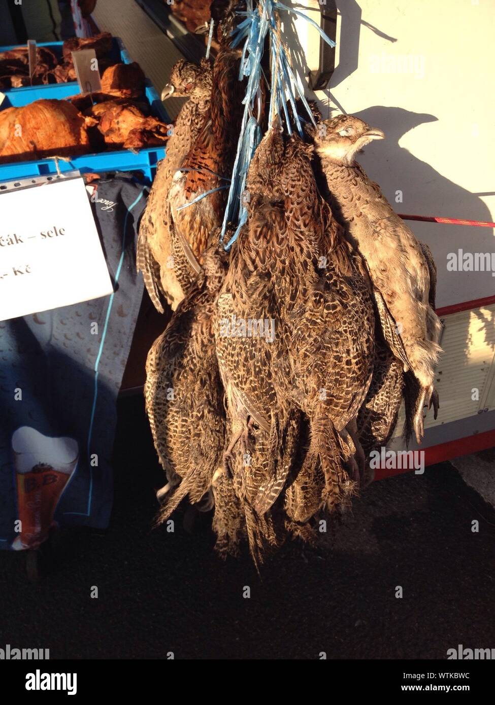 High Angle View Of Pheasants Hanging At Stall Stock Photo
