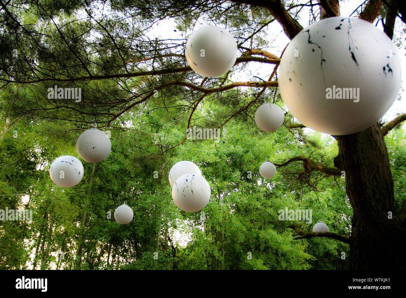 White balls hires stock photography and images Alamy