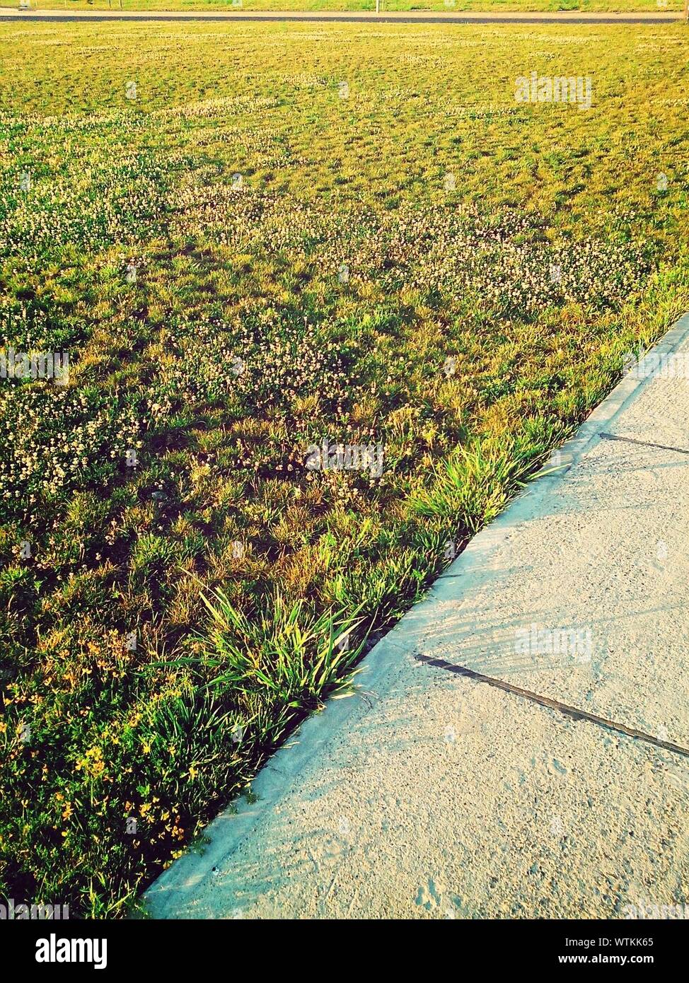 Sidewalk Grass Stock Photos & Sidewalk Grass Stock Images Alamy