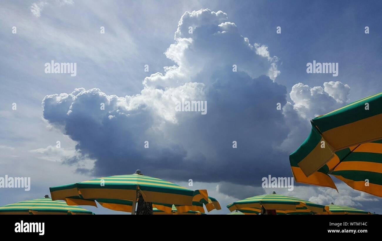 Canopies Against The Sky Stock Photo