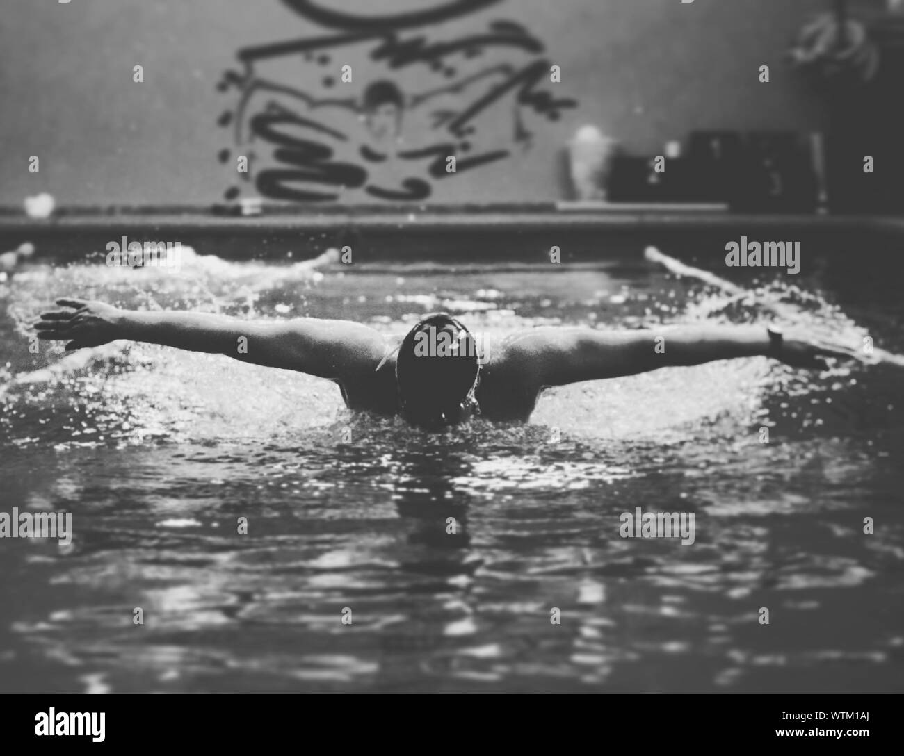 Adult male swimmer hires stock photography and images Alamy