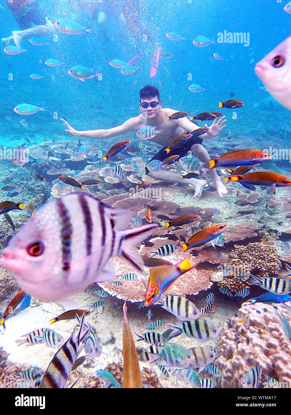 Man Swimming Undersea Over Coral Reef And Fishes Stock Photo