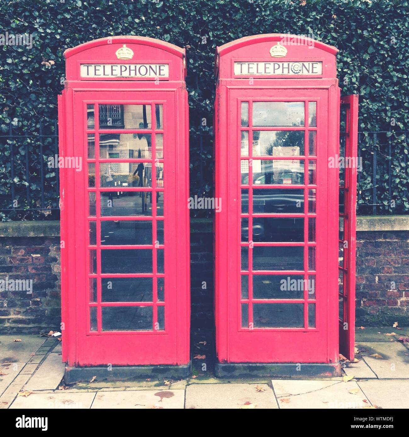 Red hedges hires stock photography and images Alamy