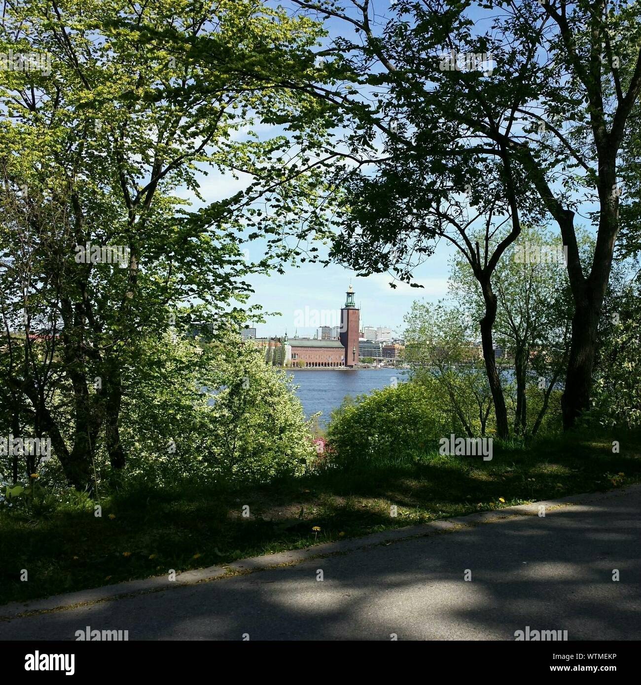 City of trees hi-res stock photography and images - Alamy