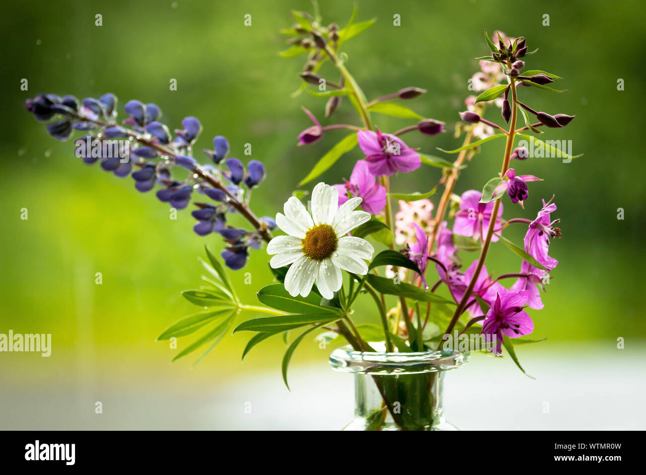 Bouquet of wild flowers Stock Photo - Alamy