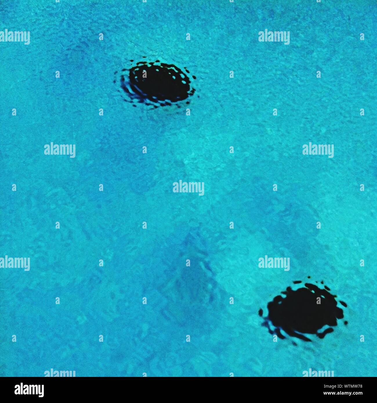 Black Dots Under Blue Water Stock Photo
