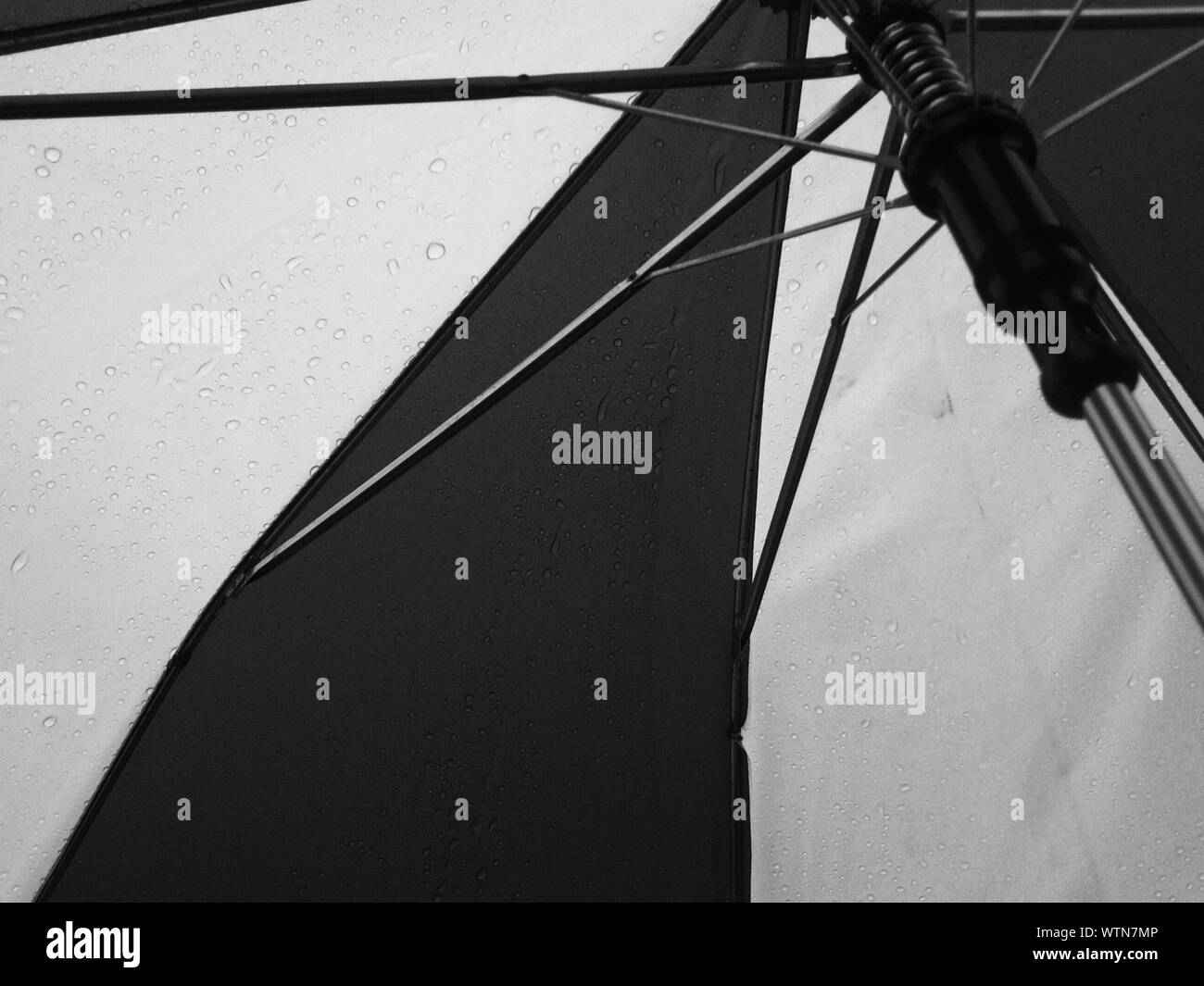 Full Frame Shot Of Wet Umbrella During Rainy Season Stock Photo Alamy