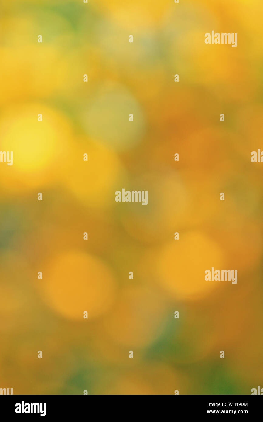 green, yellow, orange bokeh blurred background Stock Photo