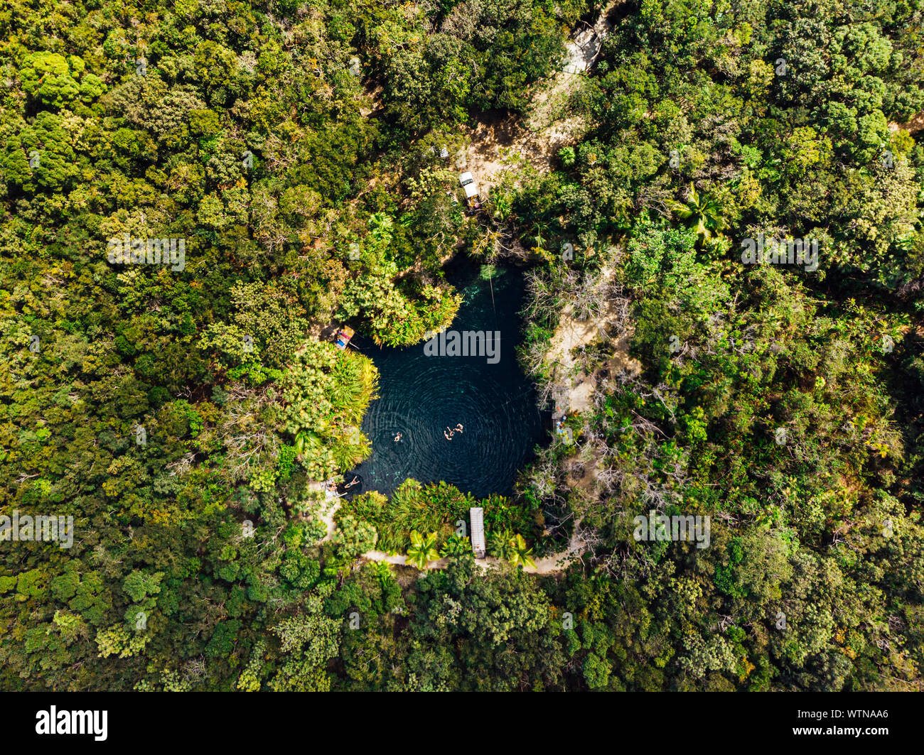 Tiny Cenote Crystal Lake with clean water in middle of green forest Stock Photo