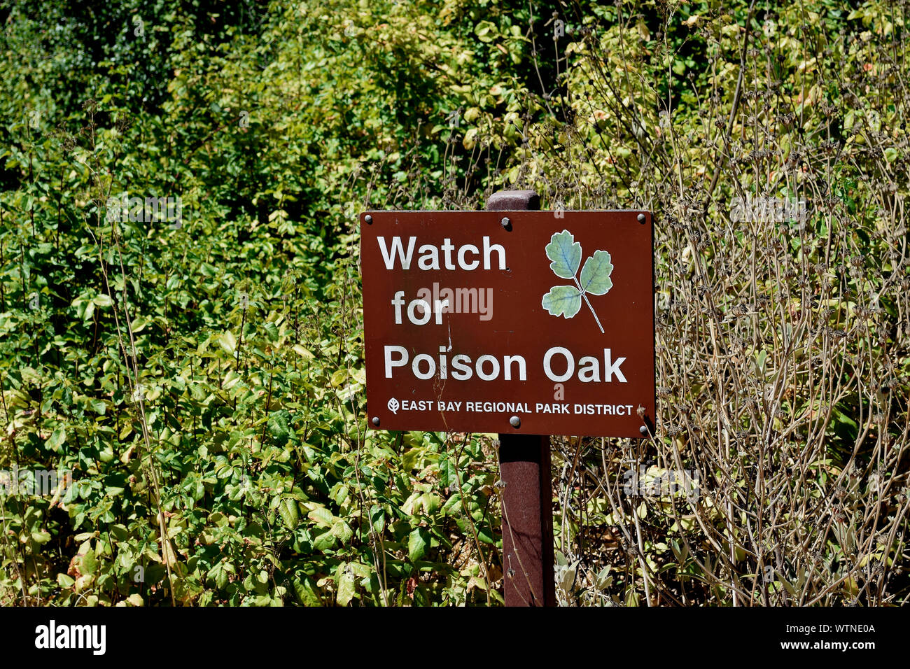 watch out for poison oak warning sign at  Ardenwood Historic Farm, Fremont, California Stock Photo