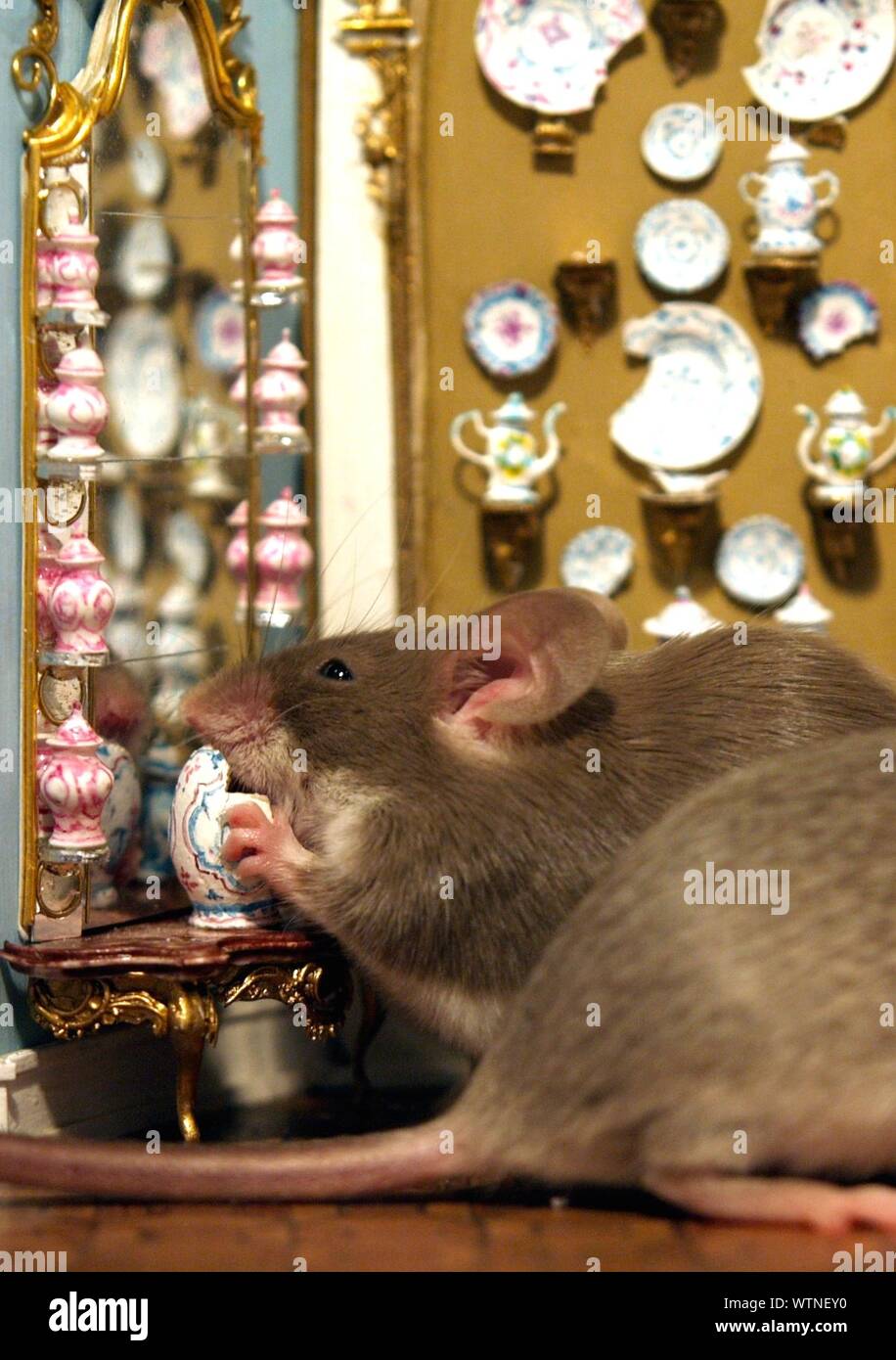 mouse dollhouse
