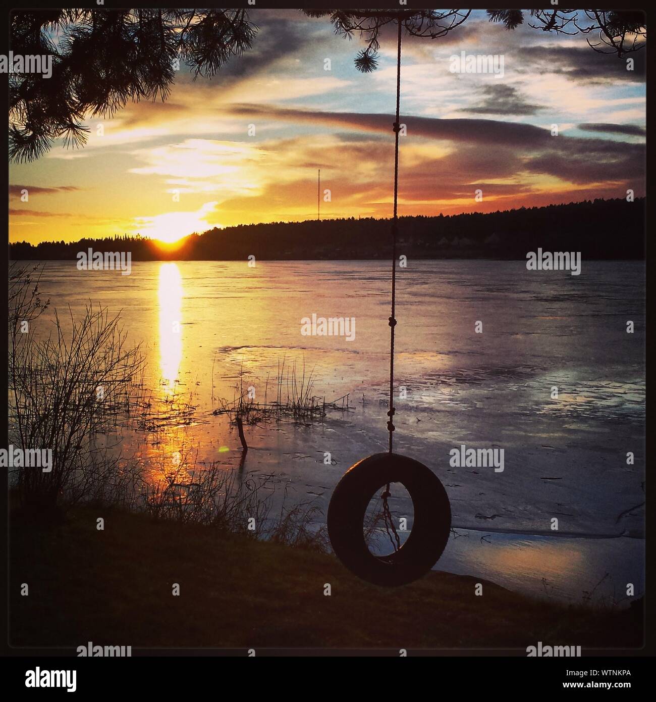 Swing tire hi-res stock photography and images - Alamy