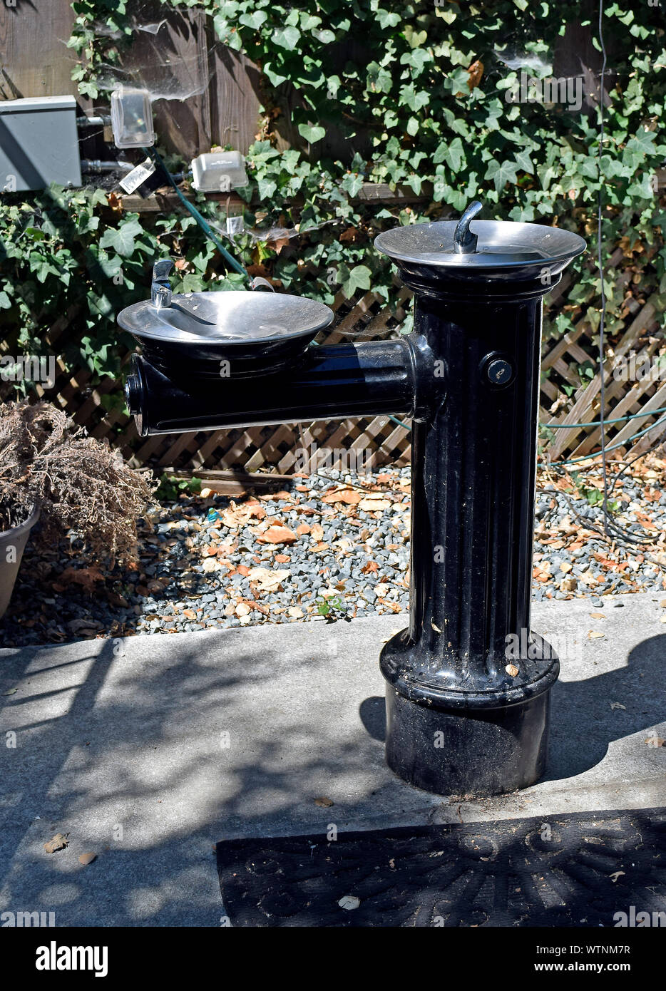 drinking fountain at  Ardenwood Historic Farm, Fremont, California Stock Photo