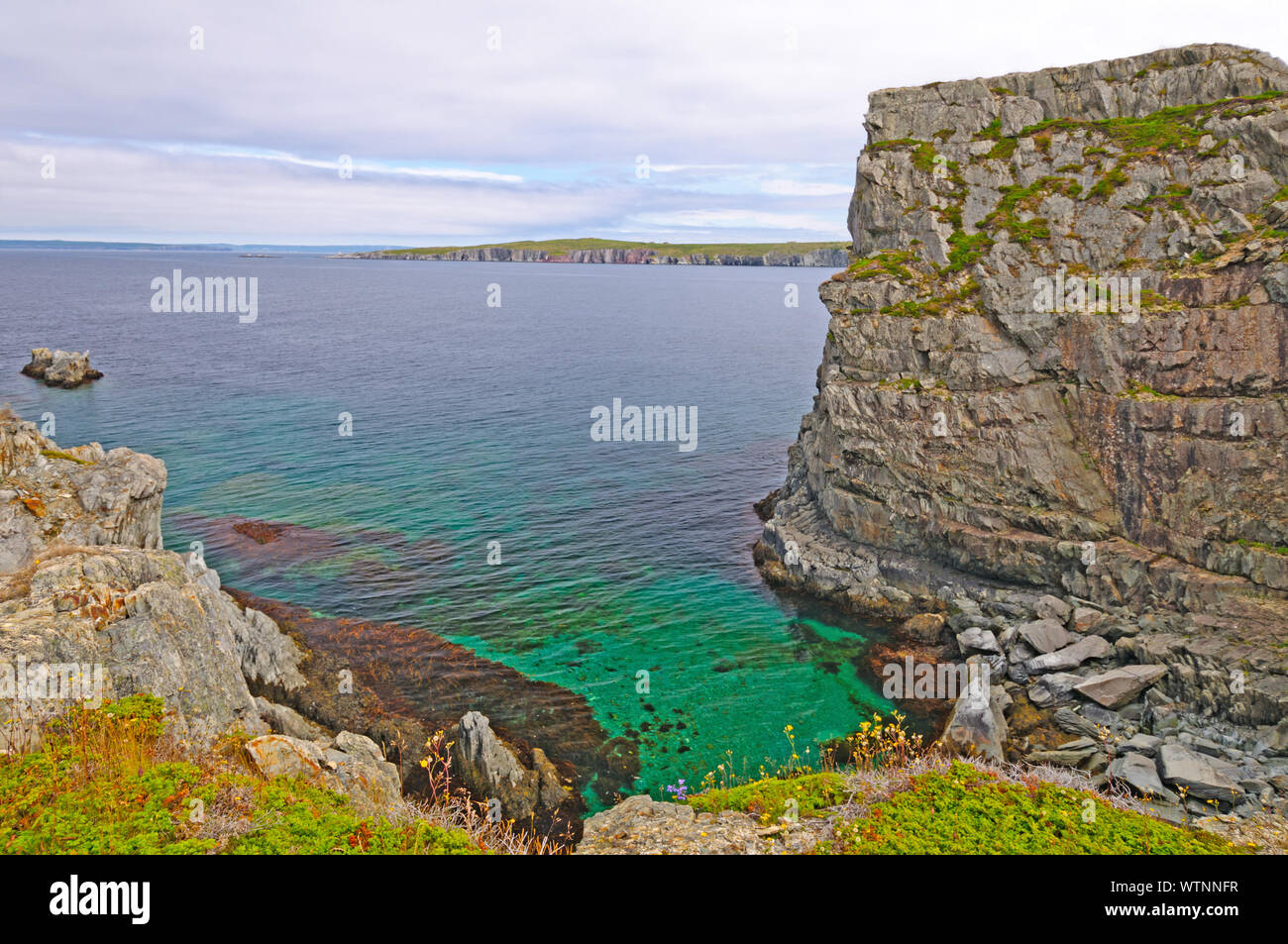 Secluded Bay on the Mad Rocks near Bay Roberts, Newfoundland Stock Photo