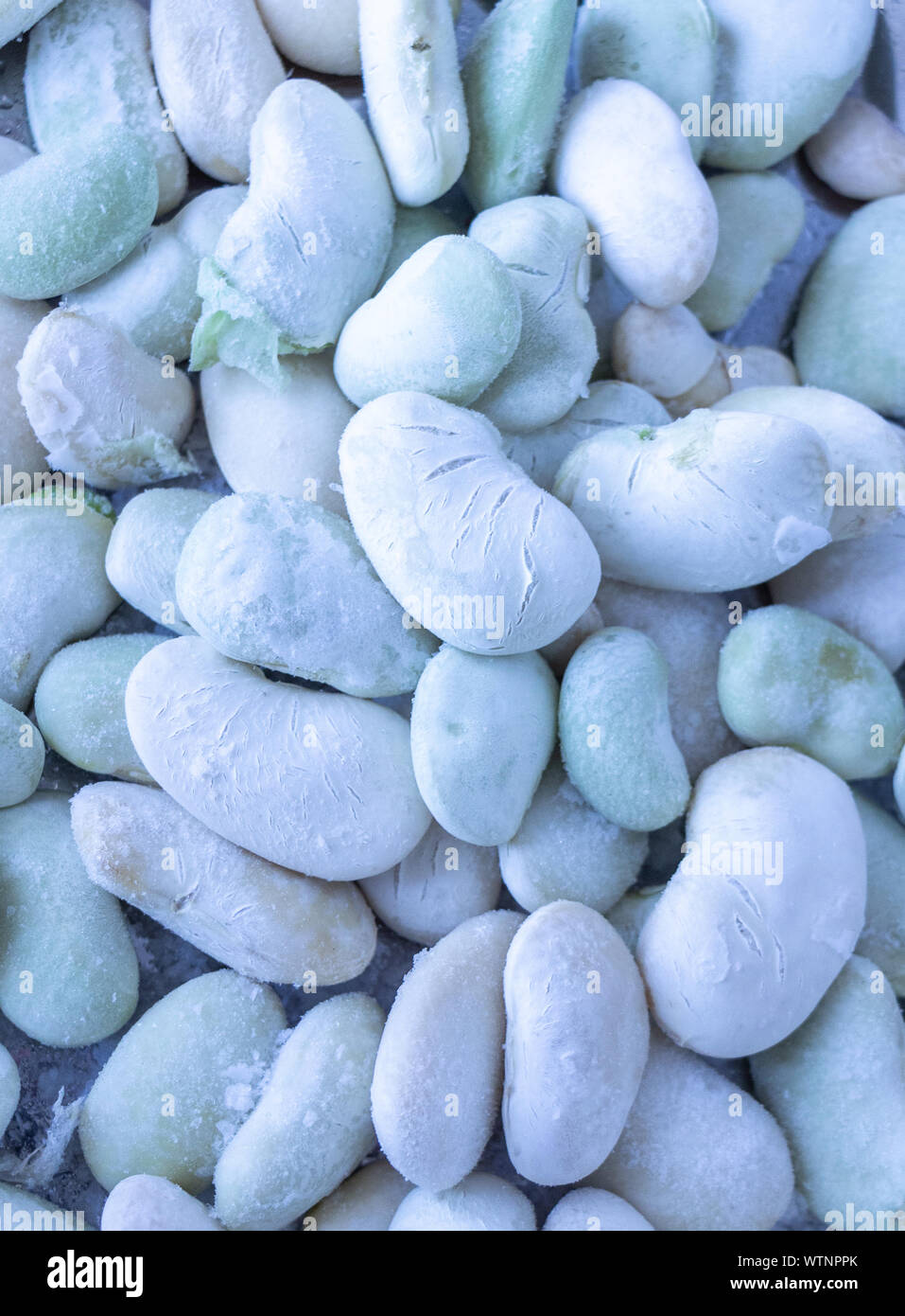 Frozen Broad Beans Stock Photo Alamy