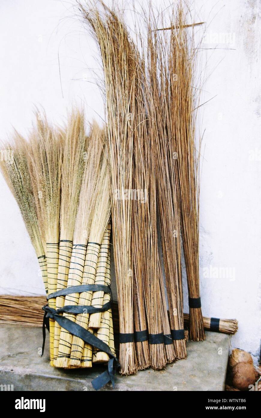 Broom Stack Broom Stack On Retaining Wall Stock Photo - Alamy
