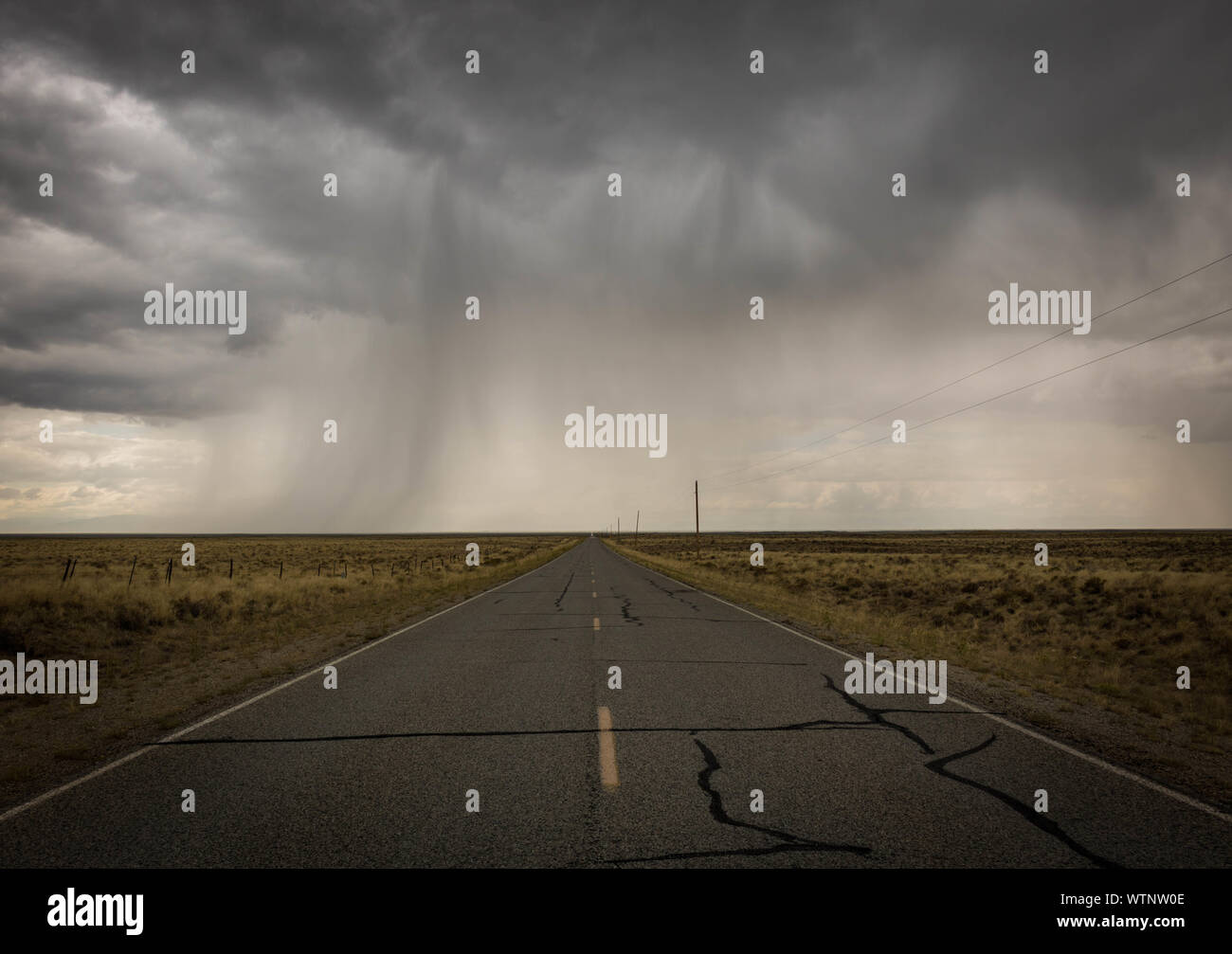 Roaring thunderstorm showers Stock Photo Alamy
