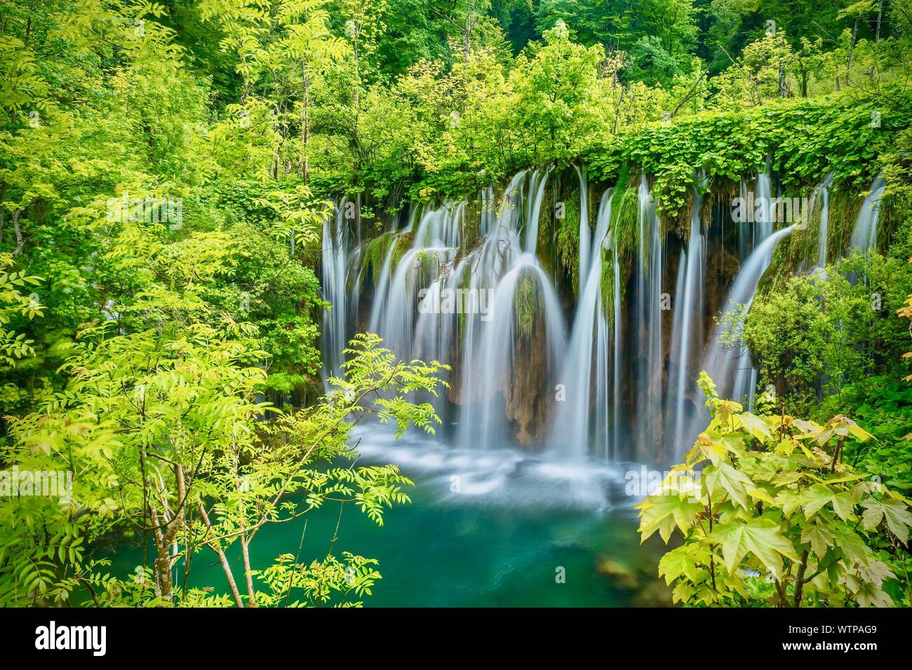 A long exposure nature scene, with beautiful silky waterfalls dropping into an emerald green pool, surrounded by lush vegetation. Stock Photo