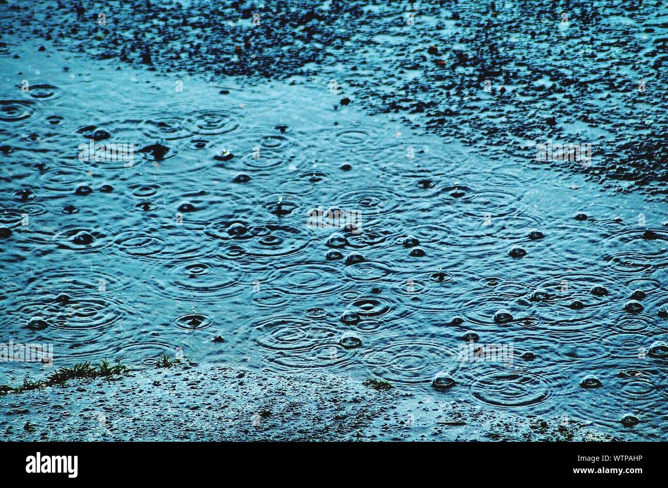 Raindrops Falling In Puddle Stock Photo