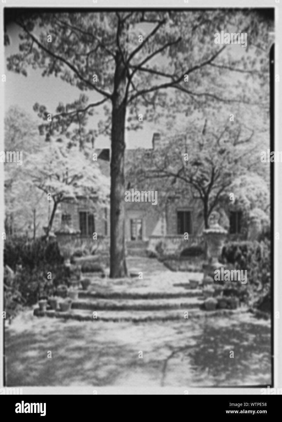 Mrs. Coster Morris, residence in Brookville, Long Island, New York