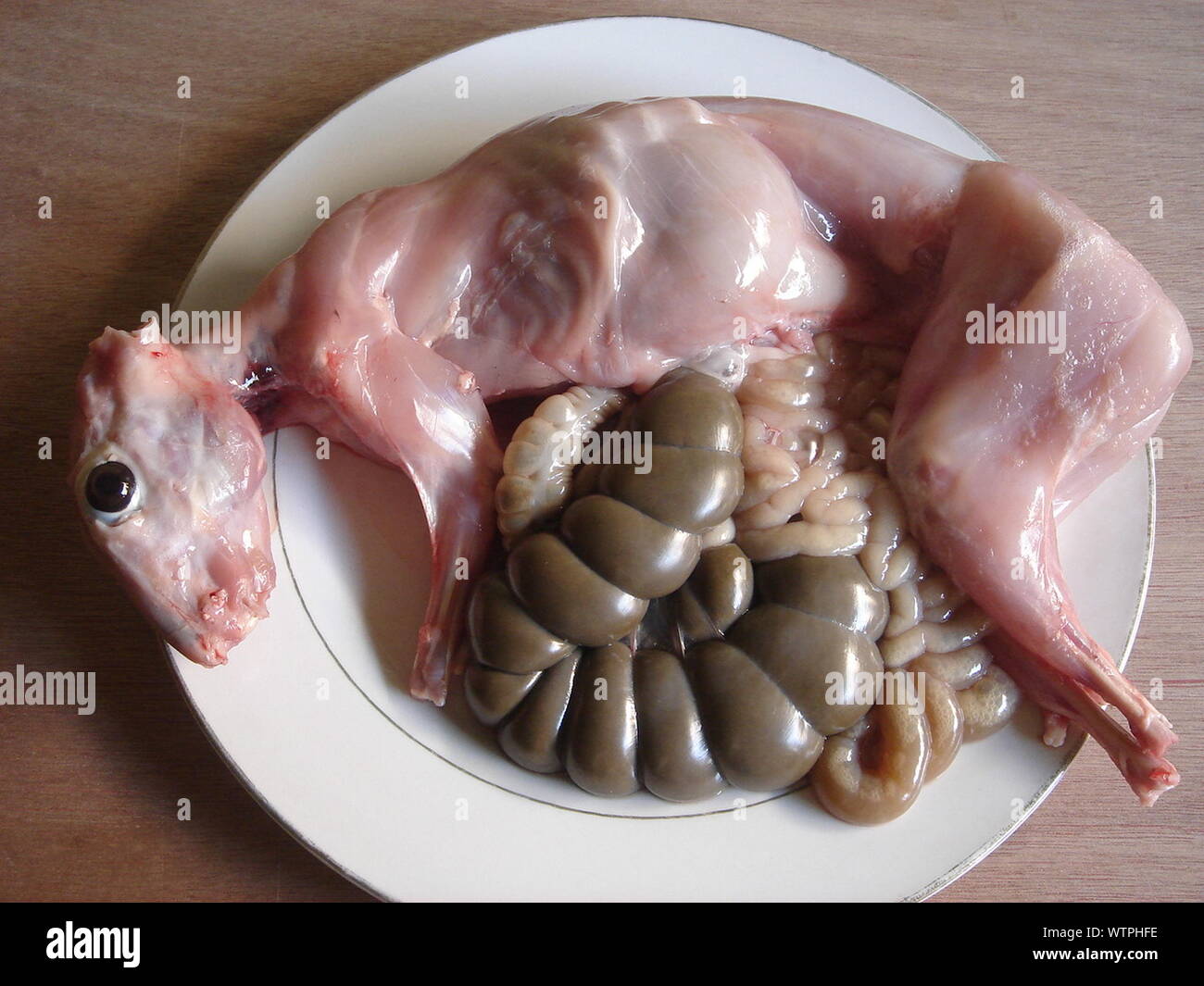 Skinned Rabbit High Resolution Stock Photography and Images - Alamy