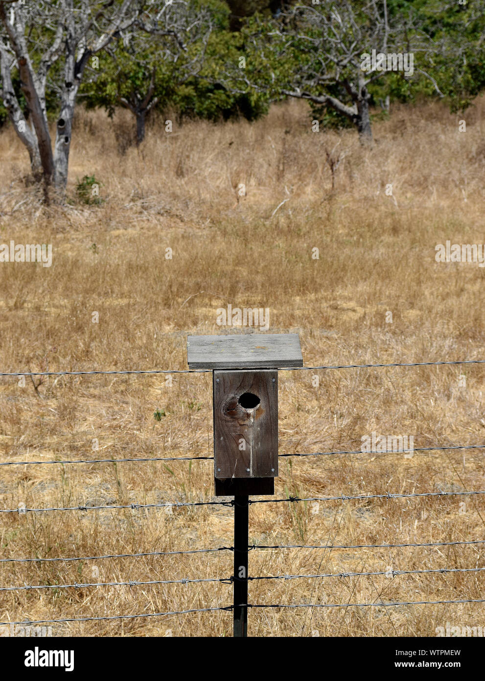 bird nesting box at  Ardenwood Historic Farm, Fremont, California Stock Photo