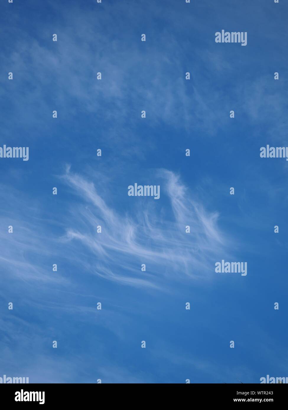 Cirrostratus cloud on beautiful blue sky , Fluffy clouds formations at tropical zone Stock Photo